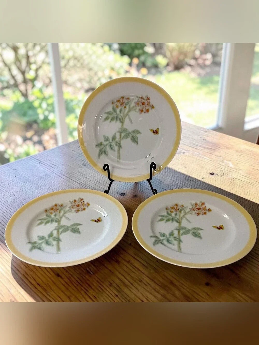3 Williams Sonoma Flowering Herbs Salad Plates Yellow Band Wild Thyme Butterfly